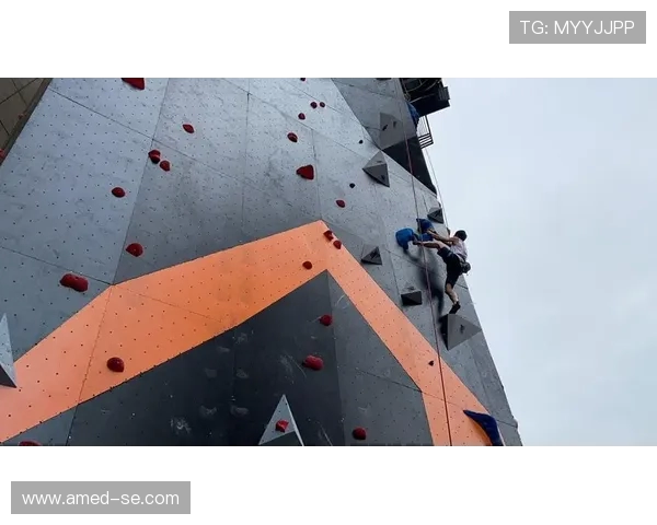 成都攀岩队战术深度解析与其他队伍的对比分析